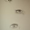 Eye study